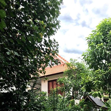 Pearl Paradise Villa Danang Eksteriør bilde